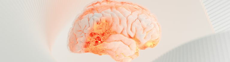 Gehirn welches halb menschlich, halb technisch abgebildet ist 