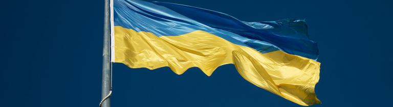 Ukrainische Flagge flattert im Wind