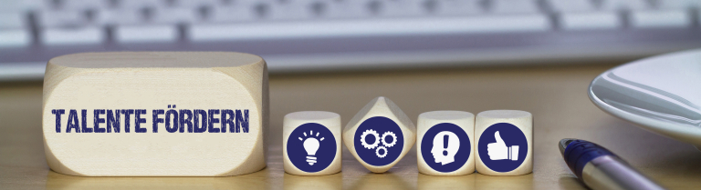 Begabtenförderung Rorschach Talente fördern