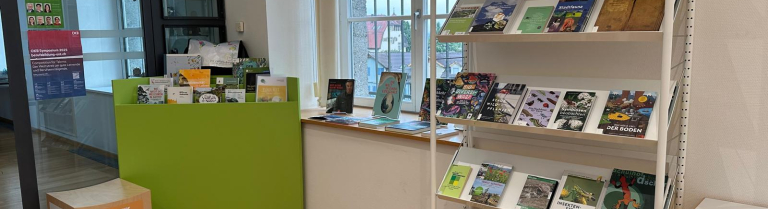 Zwei Bücherregale stehen im Raum, diese sind mit Medien gefüllt