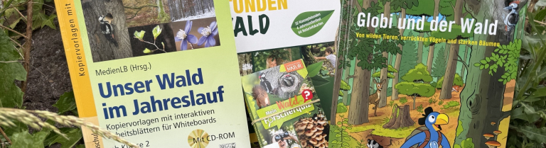 Waldbücher in der Natur