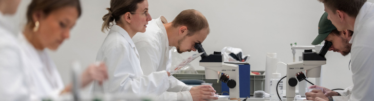 Studierende im Labor
