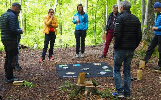 Eine Gruppe von Lehrpersonen steht im Wald im Kreis um eine Decke mit Bildern  zum Thema Natur. 