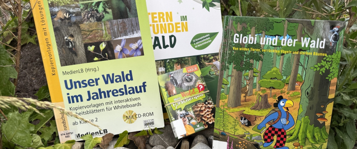 Waldbücher in der Natur
