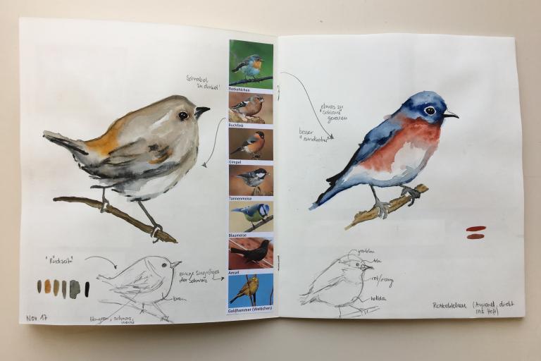 gezeichnetes Bild von Vögeln