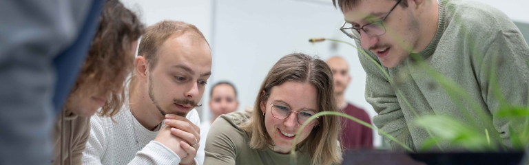 Studierende arbeiten zusammen