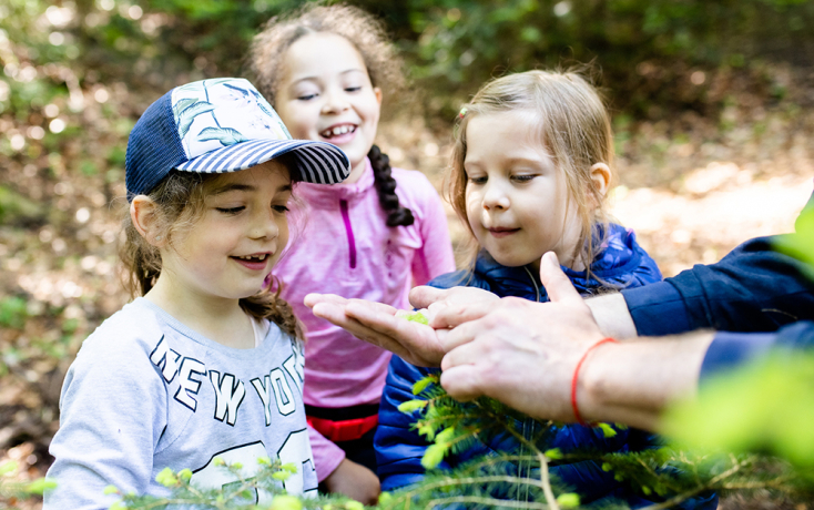 Lehrperson zeigt den Kindergärtlern bei einem Ausflug im Wald, etwas auf seiner Hand 