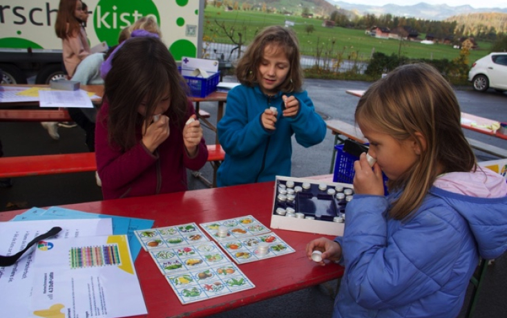 Forscherkiste an der Schule