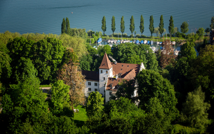 Luftaufnahme Schloss Wartegg