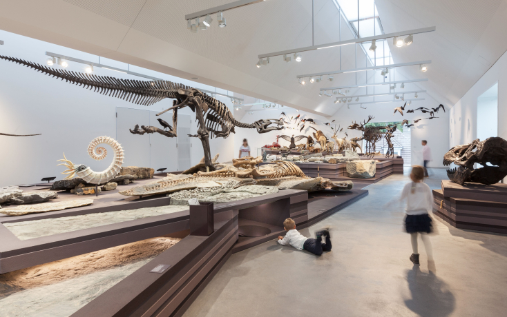 Naturmuseum_Kulturtag