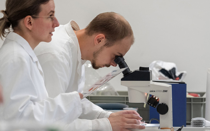 Studierende im Labor