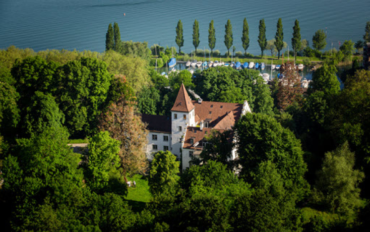 Luftaufnahme von Schloss Wartensee am Bodensee, Veranstaltungsort der Masterclass Digital Leadership