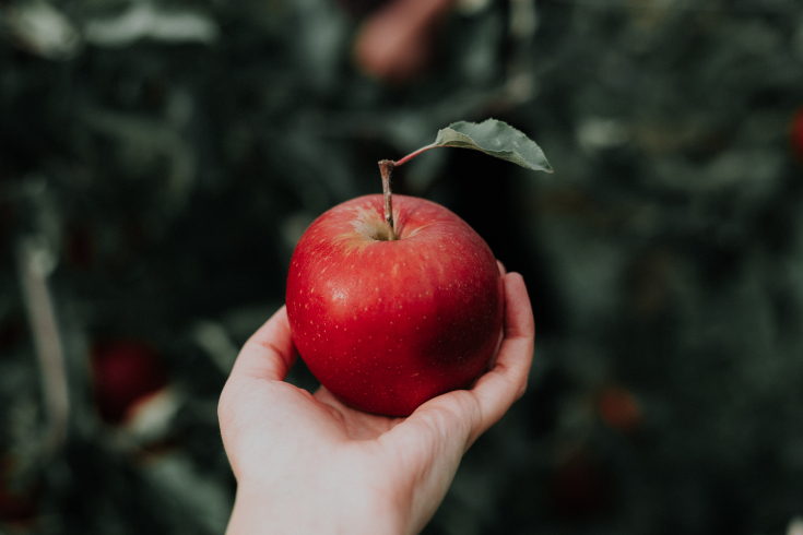 Eine Hand hält einen roten Apfel