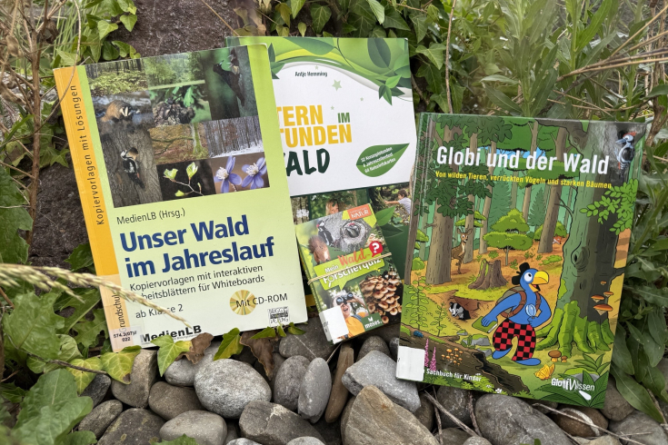 Waldbücher in der Natur