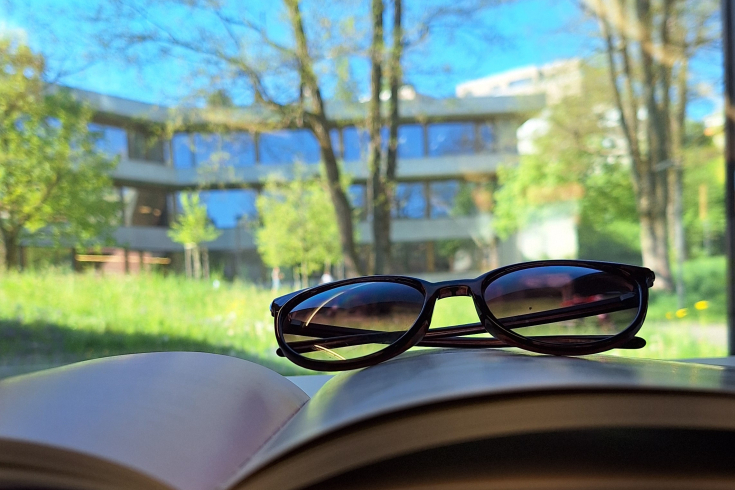 Sonnenbrille liegt auf Buch, im Hintergrund ist ein Baum zu sehen