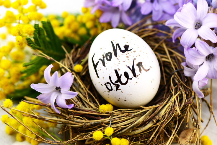 Ein Ei mit der Aufschrift «Frohe Ostern» liegt in einem Osternest aus Zweigen und Blüten.