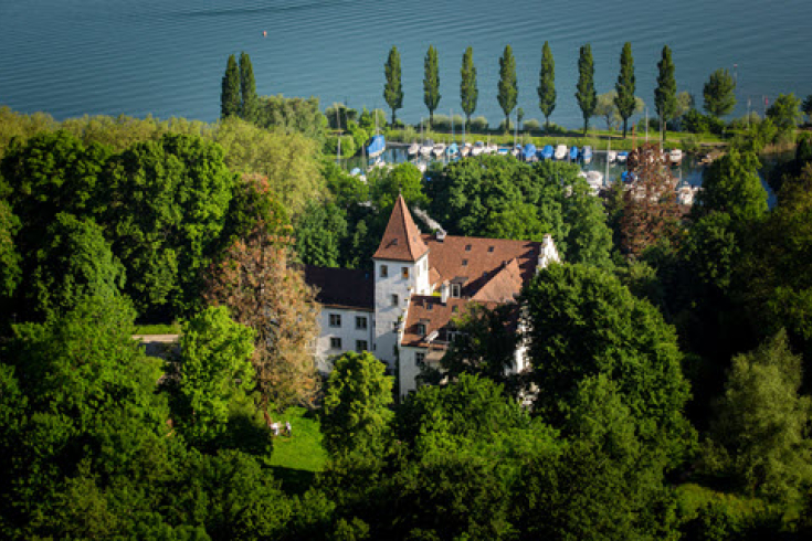 Luftaufnahme von Schloss Wartensee am Bodensee, Veranstaltungsort der Masterclass Digital Leadership